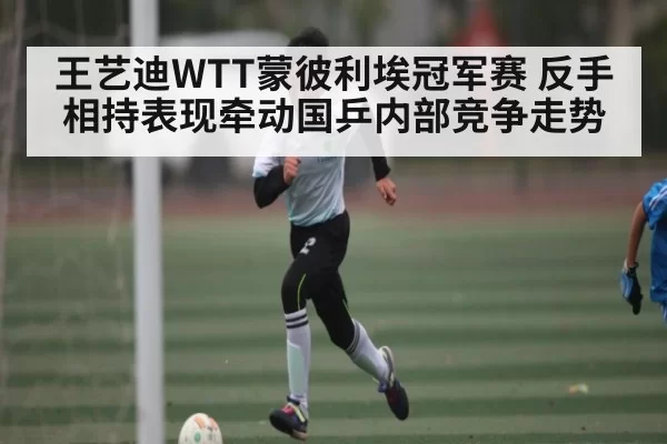 王艺迪WTT蒙彼利埃冠军赛 反手相持表现牵动国乒内部竞争走势
